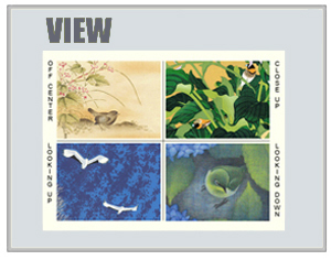 Picture View Blog